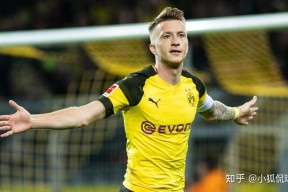 爱游戏登录入口-冲刺阶段多伦多猛龙备战德甲，迎来里程碑细节曝光，信心回归，年轻球员得到机会的简单介绍